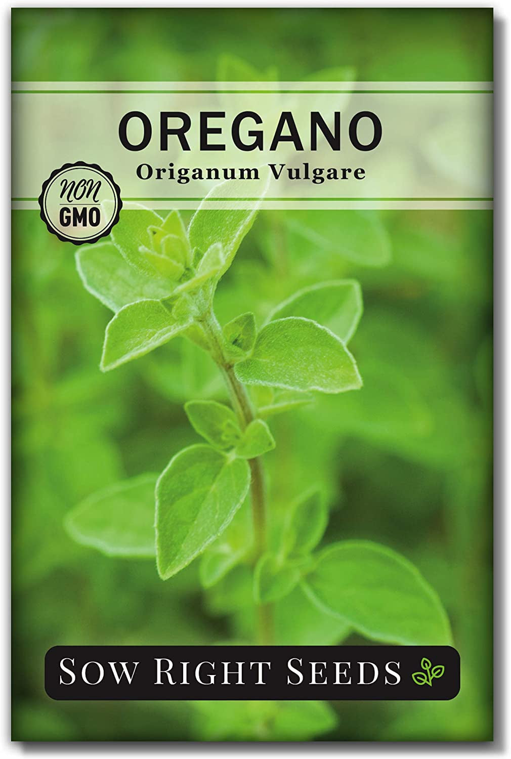 - Oregano Seed for Planting - Non-Gmo Heirloom- Instructions to Plant and Grow a Kitchen Herb Garden - Indoor or Outdoor - Gardening Gift - Produces Flavorful Leaves for Seasoning
