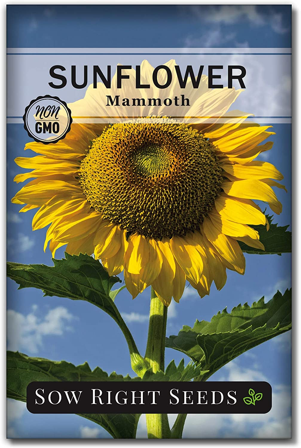 - Mammoth Sunflower Seeds to Plant - Grow Giant Sunflowers in Your Garden - Non-Gmo Heirloom Seeds for Planting an Outdoor Garden - Bright Yellow Blooms - Attract Bees and Birds