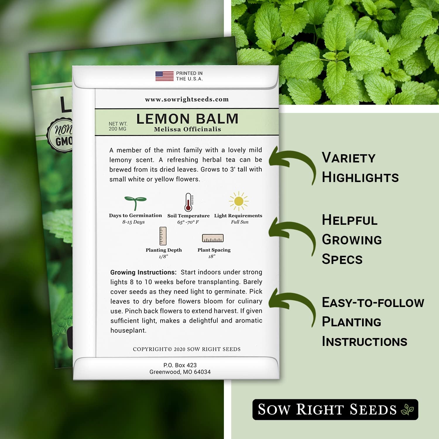 - Lemon Balm Seeds for Planting - Non-Gmo Heirloom Packet with Instructions - Easy to Grow Herb Garden - Aromatic Medicinal Herb and Great for Herbal Teas - Perennial Mint Relative