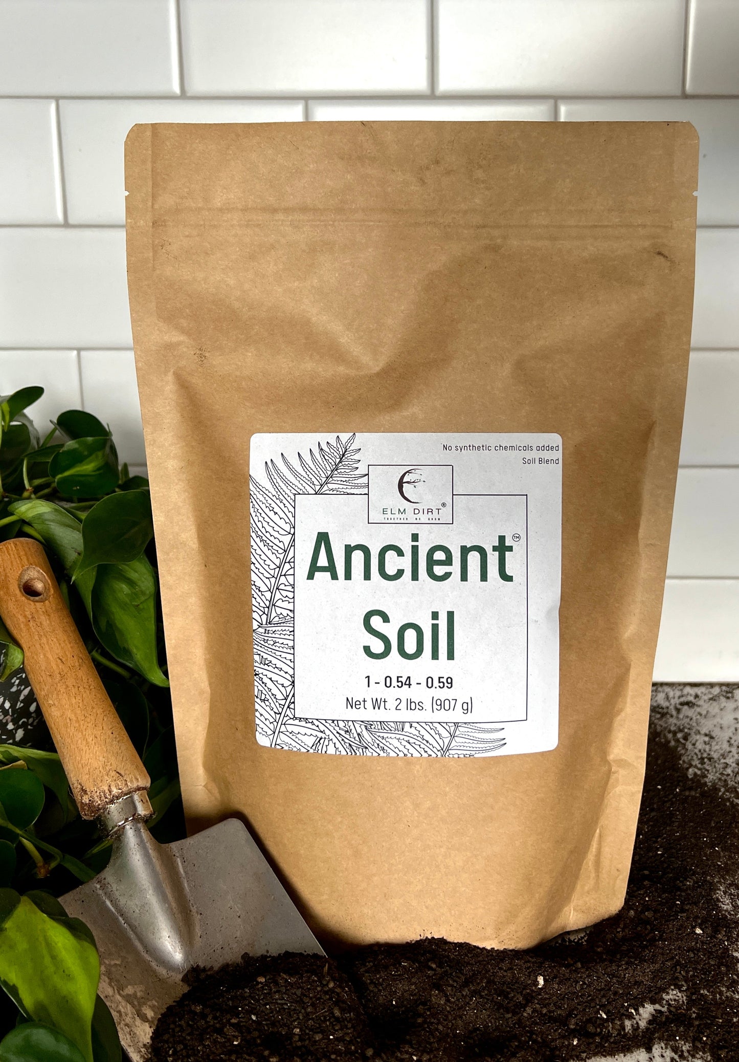 Ancient Soil by Elm Dirt