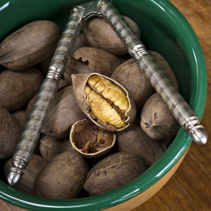 Native Pecan by Growing Home Farms