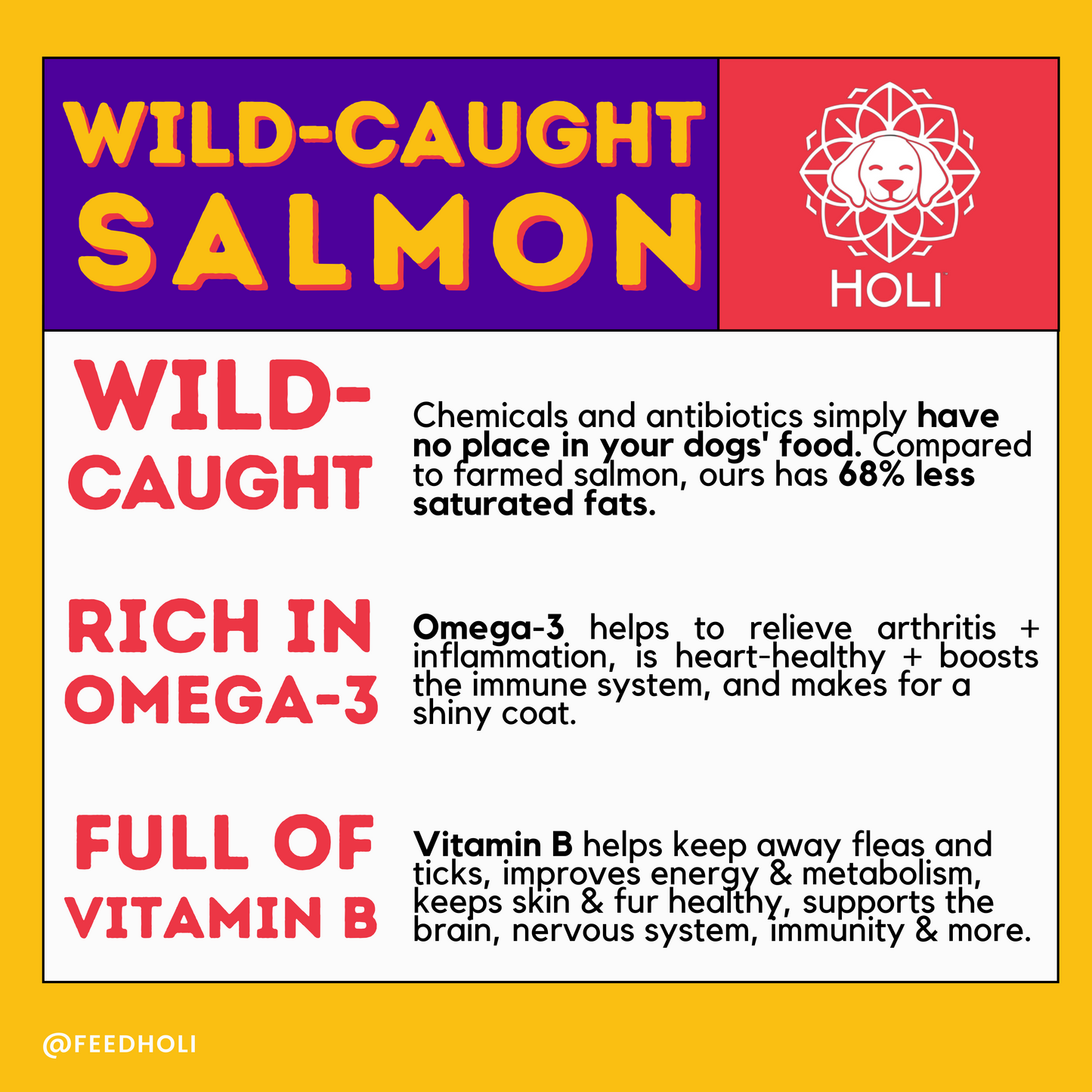 Wild Caught Salmon Dog Treats by HOLI
