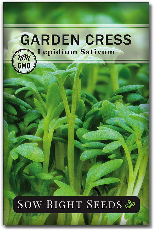 - Garden Cress Seeds for Planting - Non-Gmo Heirloom Packet with Instructions to Plant and Grow a Kitchen Herb Garden - Indoors or Outdoors - Edible Leaves and Cute Filler (1)