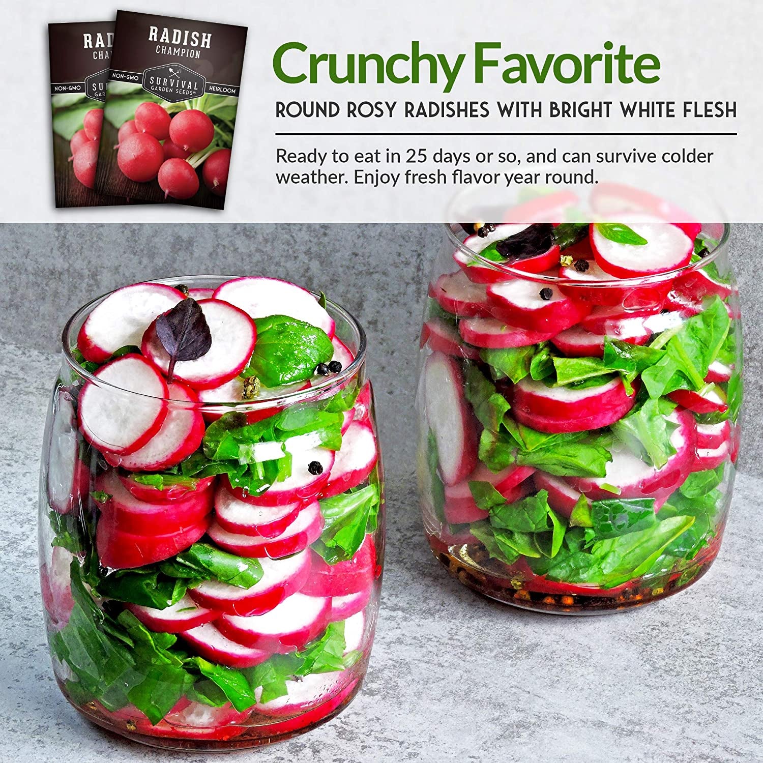 - Champion Radish Seed for Planting - Packet with Instructions to Plant and Grow Red Radishes in Your Home Vegetable Garden - Non-Gmo Heirloom Variety