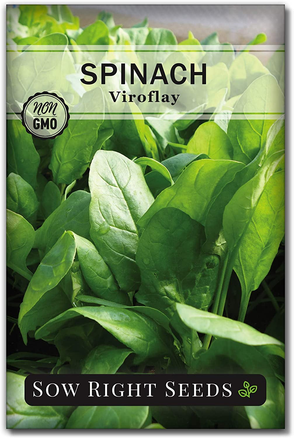 - Viroflay Spinach Seed for Planting - Non-Gmo Heirloom Packet with Instructions to Plant a Vegetable Garden - Grow Leafy Green Nutritious Superfood - Hydroponic Growing Friendly (1)