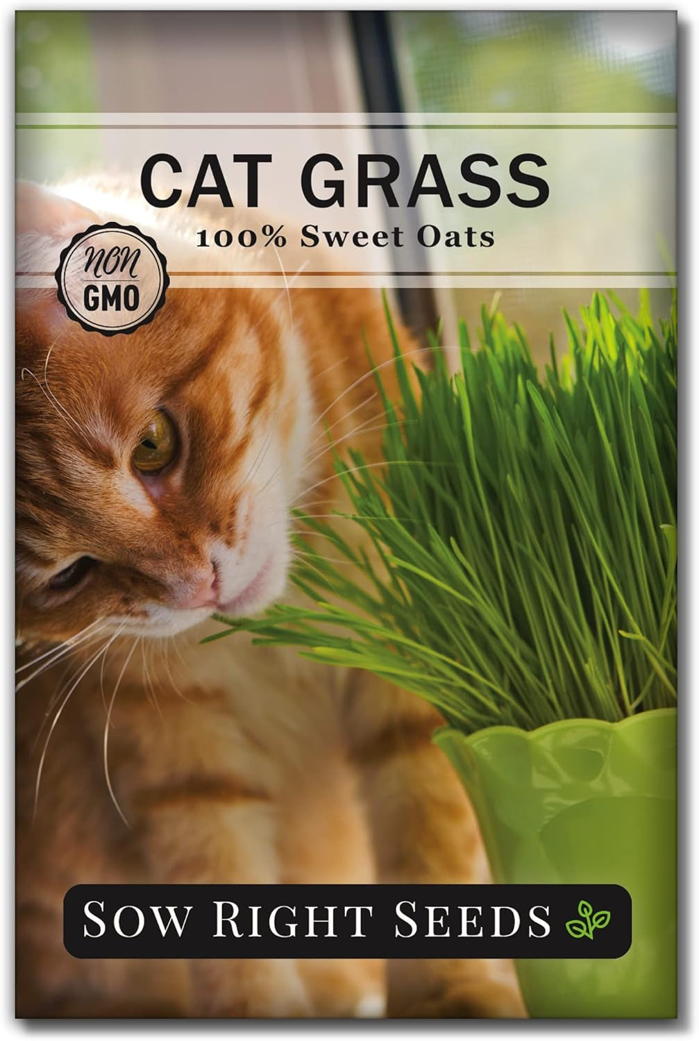 - Catnip and Cat Grass Seed Collection for Planting Indoors or Outdoors - Includes Popular Herb Catnip and Cat Grass (100% Sweet Oat Grass) - Non-Gmo Heirloom Packet - Pet Friendly