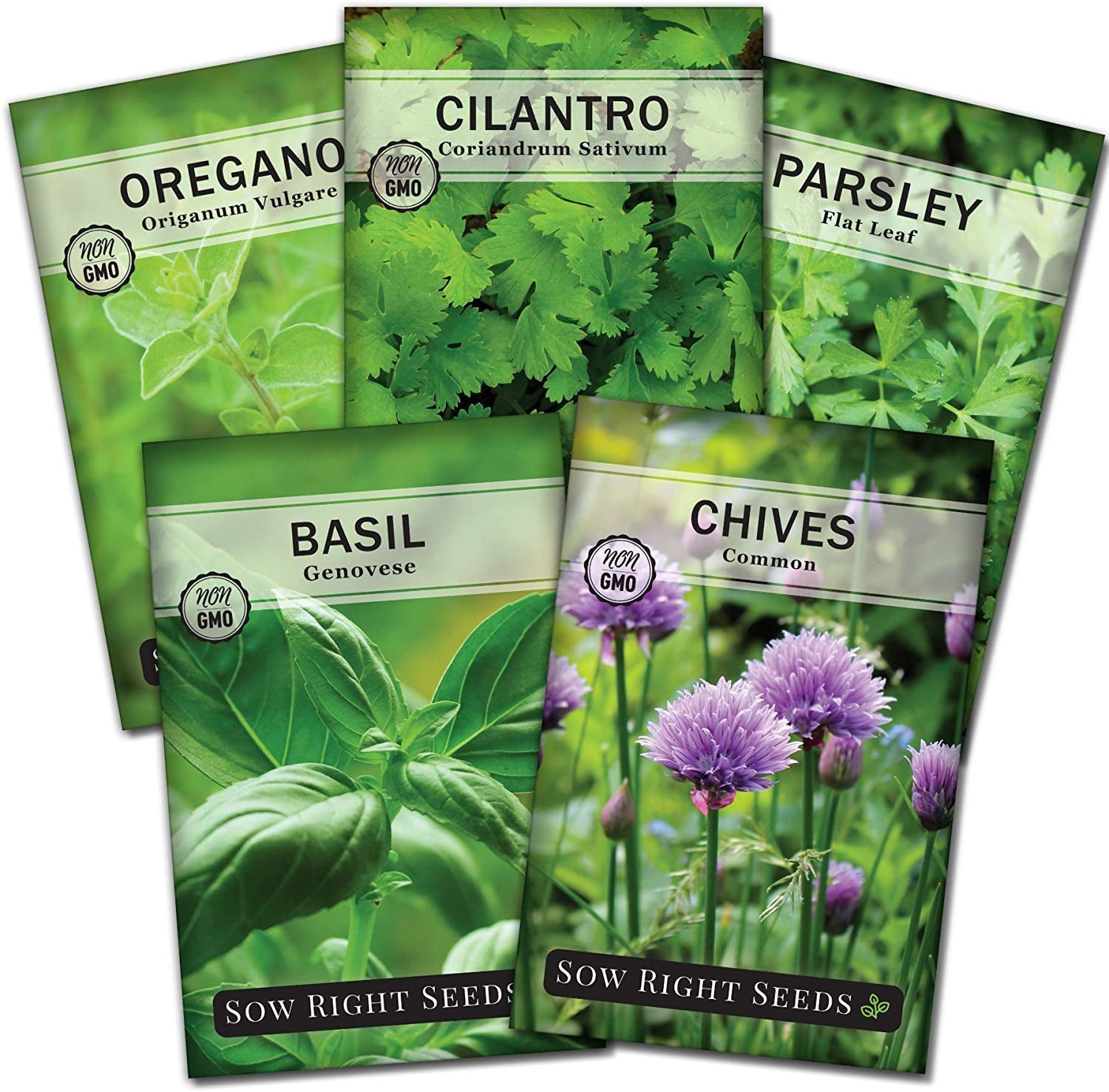 - 5 Herb Seed Collection for Planting - Genovese Basil, Chives, Cilantro, Italian Parsley, and Oregano to Plant and Grow a Home Vegetable Garden - Fresh Assortment Herbal Variety Pack