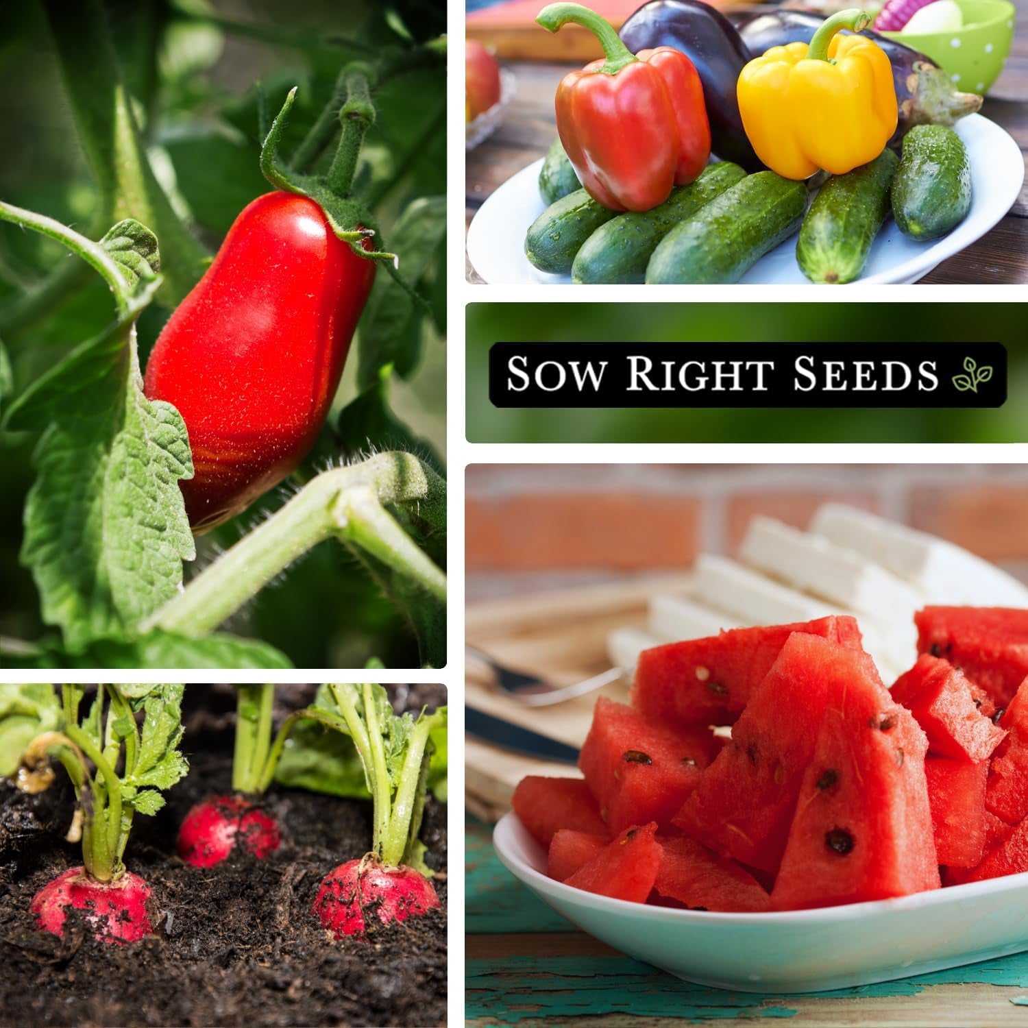 - Classic Vegetable Garden Seed Collection for Planting - Non-Gmo Heirloom Broccoli, Cabbage, Carrot, Cucumber, Eggplant, Kale, Lettuce, Tomato, Peppers, Zucchini, and More