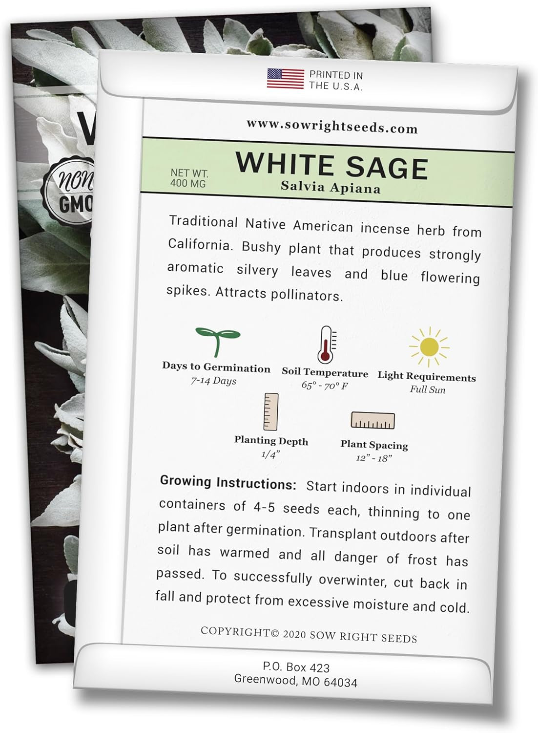- White Sage Seed for Planting - Non-Gmo Heirloom Packet with Instructions for Planting and Growing a Home Herb Garden - Indoors or Outdoors - Make Your Own Herbal Incense (1)