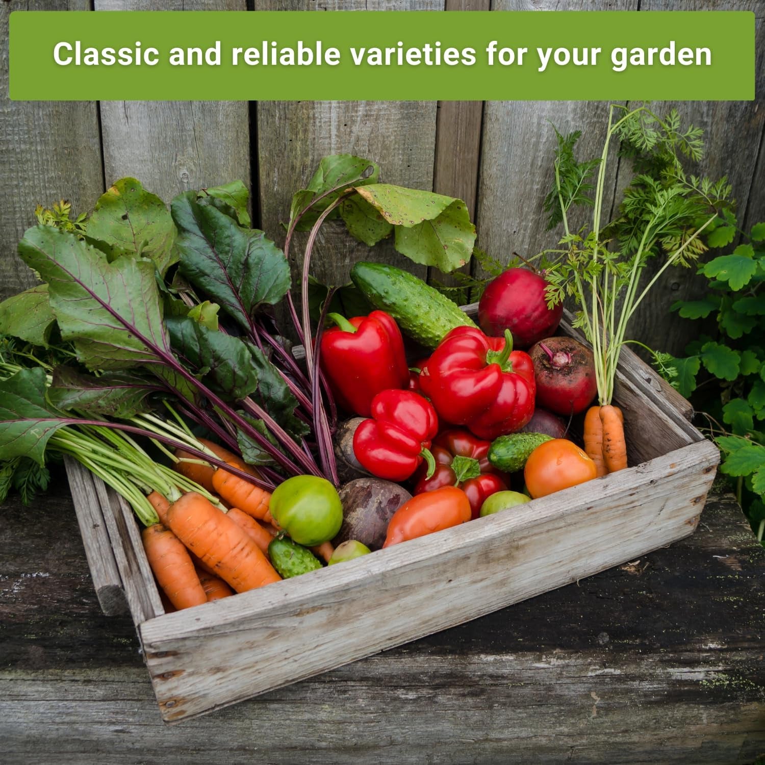 - Classic Vegetable Garden Seed Collection for Planting - Non-Gmo Heirloom Broccoli, Cabbage, Carrot, Cucumber, Eggplant, Kale, Lettuce, Tomato, Peppers, Zucchini, and More