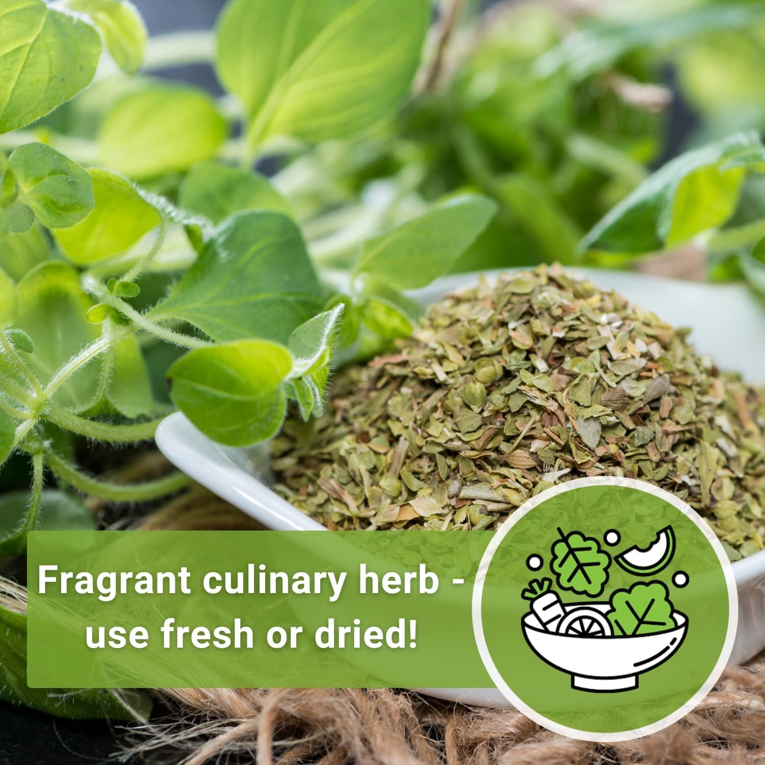 - Oregano Seed for Planting - Non-Gmo Heirloom- Instructions to Plant and Grow a Kitchen Herb Garden - Indoor or Outdoor - Gardening Gift - Produces Flavorful Leaves for Seasoning