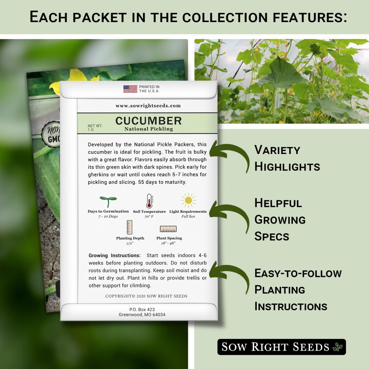 - Classic Vegetable Garden Seed Collection for Planting - Non-Gmo Heirloom Broccoli, Cabbage, Carrot, Cucumber, Eggplant, Kale, Lettuce, Tomato, Peppers, Zucchini, and More