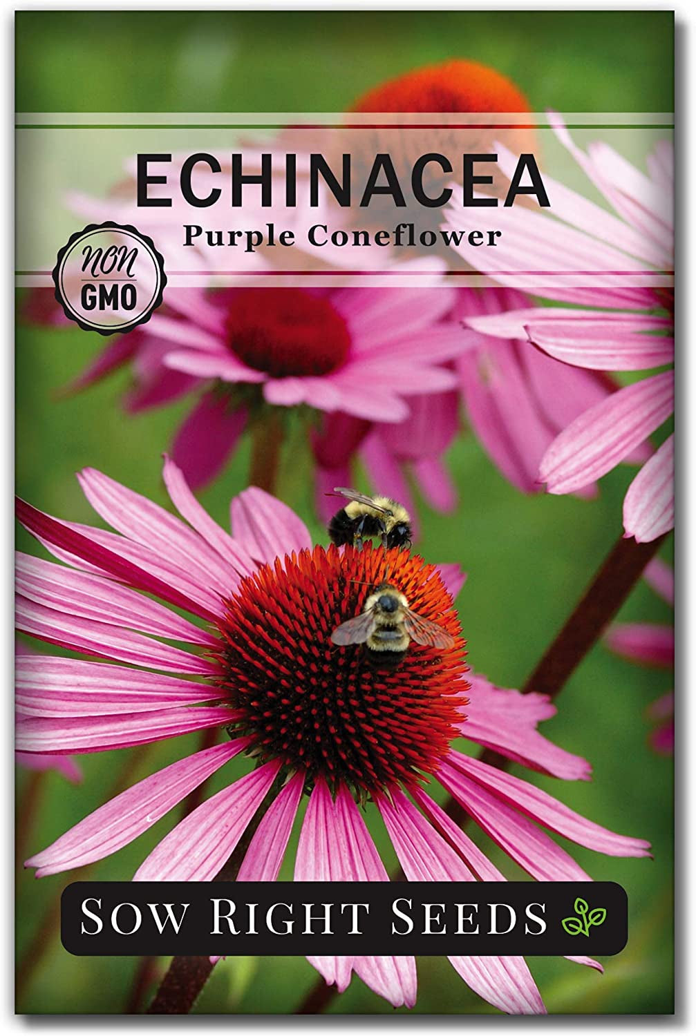 - Herbal Tea Collection - Lemon Balm, Chamomile, Peppermint, Lavender, Echinacea Herb Seed for Planting; Non-Gmo Heirloom Seed, Instructions to Plant Indoor or Outdoor; Gardening Gift