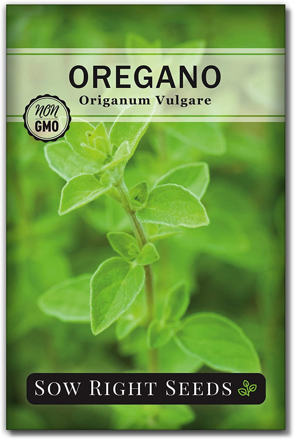 - 5 Herb Seed Collection for Planting - Genovese Basil, Chives, Cilantro, Italian Parsley, and Oregano to Plant and Grow a Home Vegetable Garden - Fresh Assortment Herbal Variety Pack