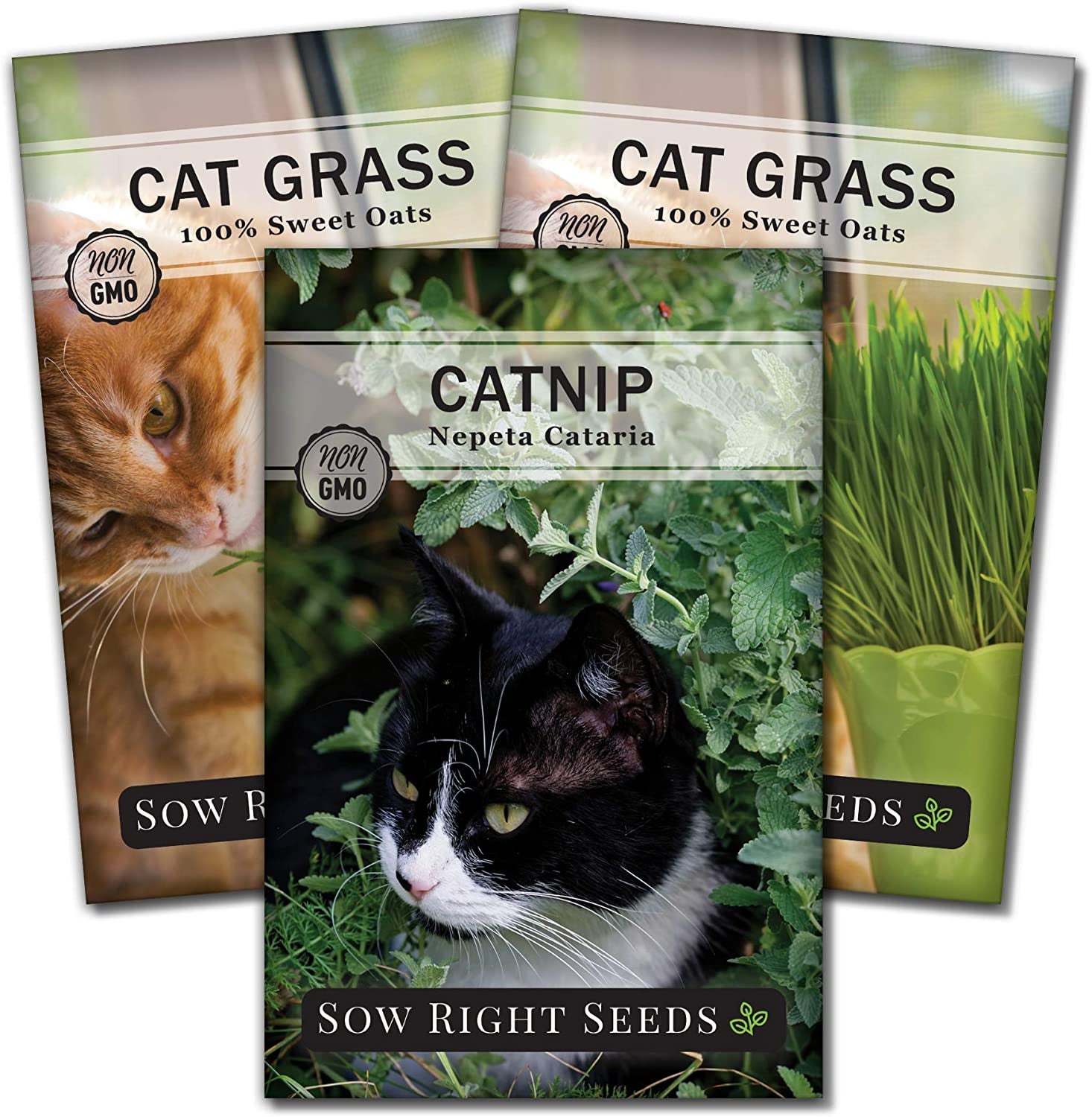 - Catnip and Cat Grass Seed Collection for Planting Indoors or Outdoors - Includes Popular Herb Catnip and Cat Grass (100% Sweet Oat Grass) - Non-Gmo Heirloom Packet - Pet Friendly