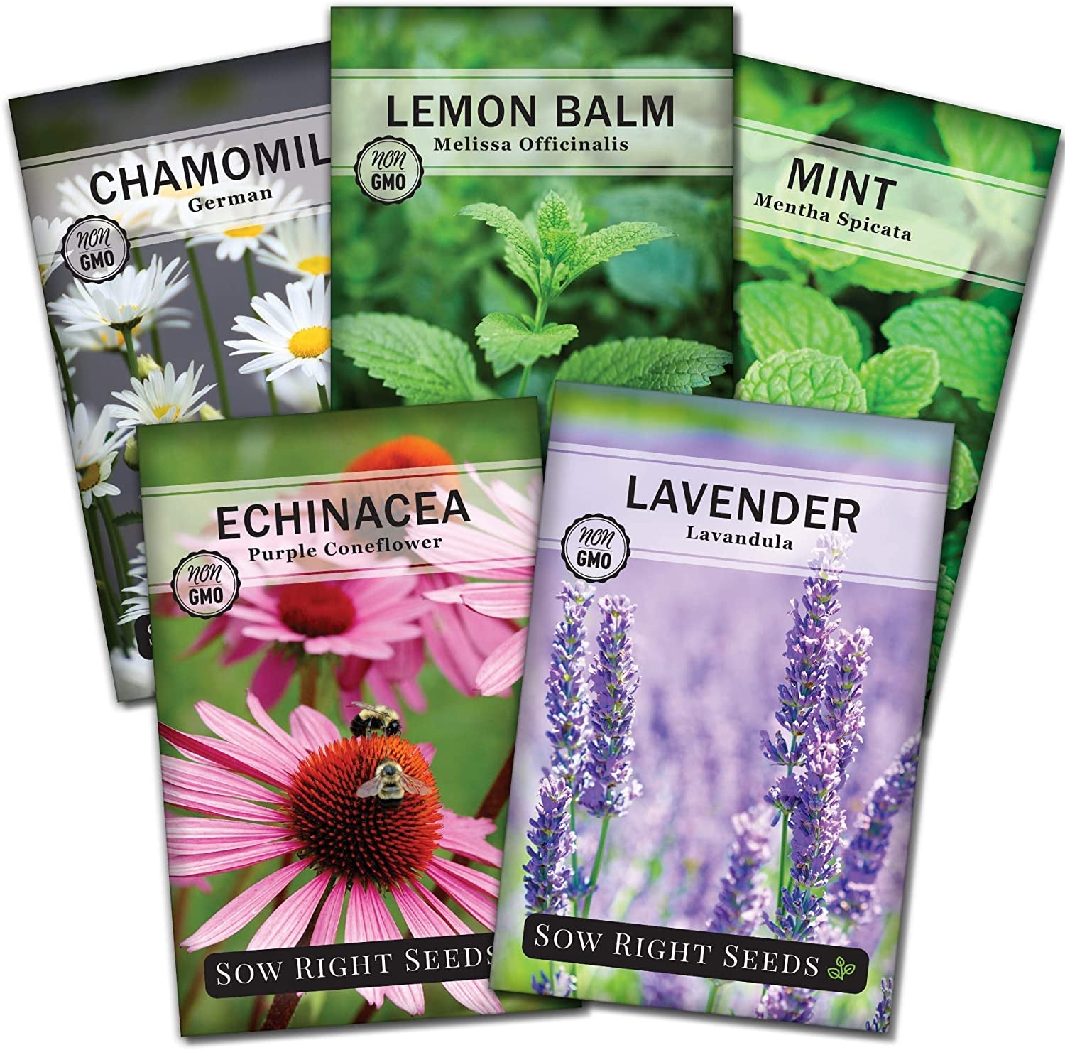 - Herbal Tea Collection - Lemon Balm, Chamomile, Peppermint, Lavender, Echinacea Herb Seed for Planting; Non-Gmo Heirloom Seed, Instructions to Plant Indoor or Outdoor; Gardening Gift