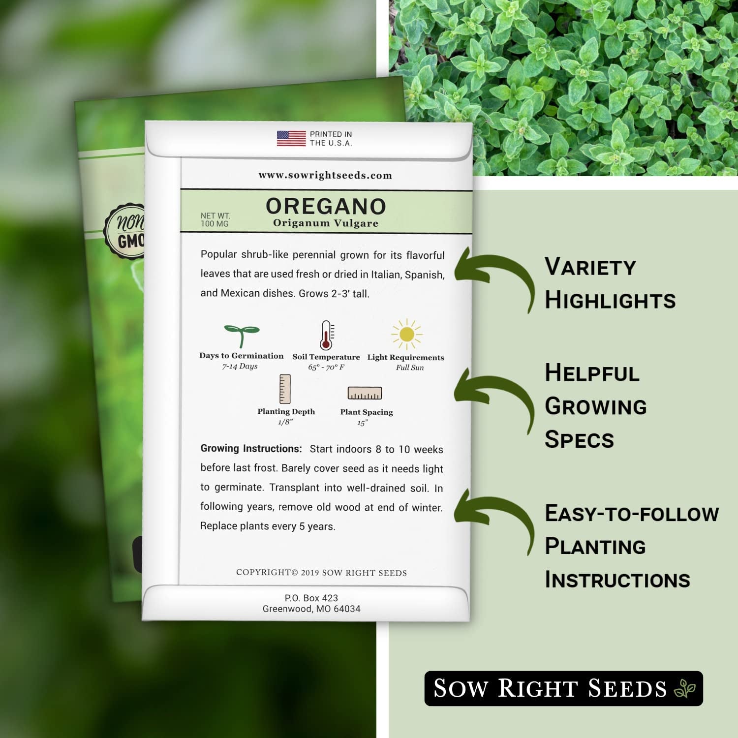 - Oregano Seed for Planting - Non-Gmo Heirloom- Instructions to Plant and Grow a Kitchen Herb Garden - Indoor or Outdoor - Gardening Gift - Produces Flavorful Leaves for Seasoning
