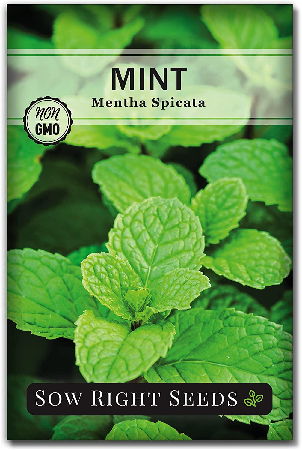 - Herbal Tea Collection - Lemon Balm, Chamomile, Peppermint, Lavender, Echinacea Herb Seed for Planting; Non-Gmo Heirloom Seed, Instructions to Plant Indoor or Outdoor; Gardening Gift