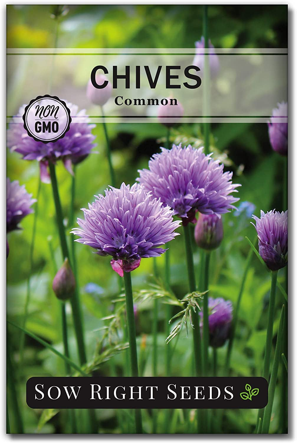 - Common Chives Seed for Planting - Non-Gmo Heirloom Packet with Instructions to Plant and Grow Kitchen Herb Garden Indoor or Outdoor - Mild Onion Flavor (1)