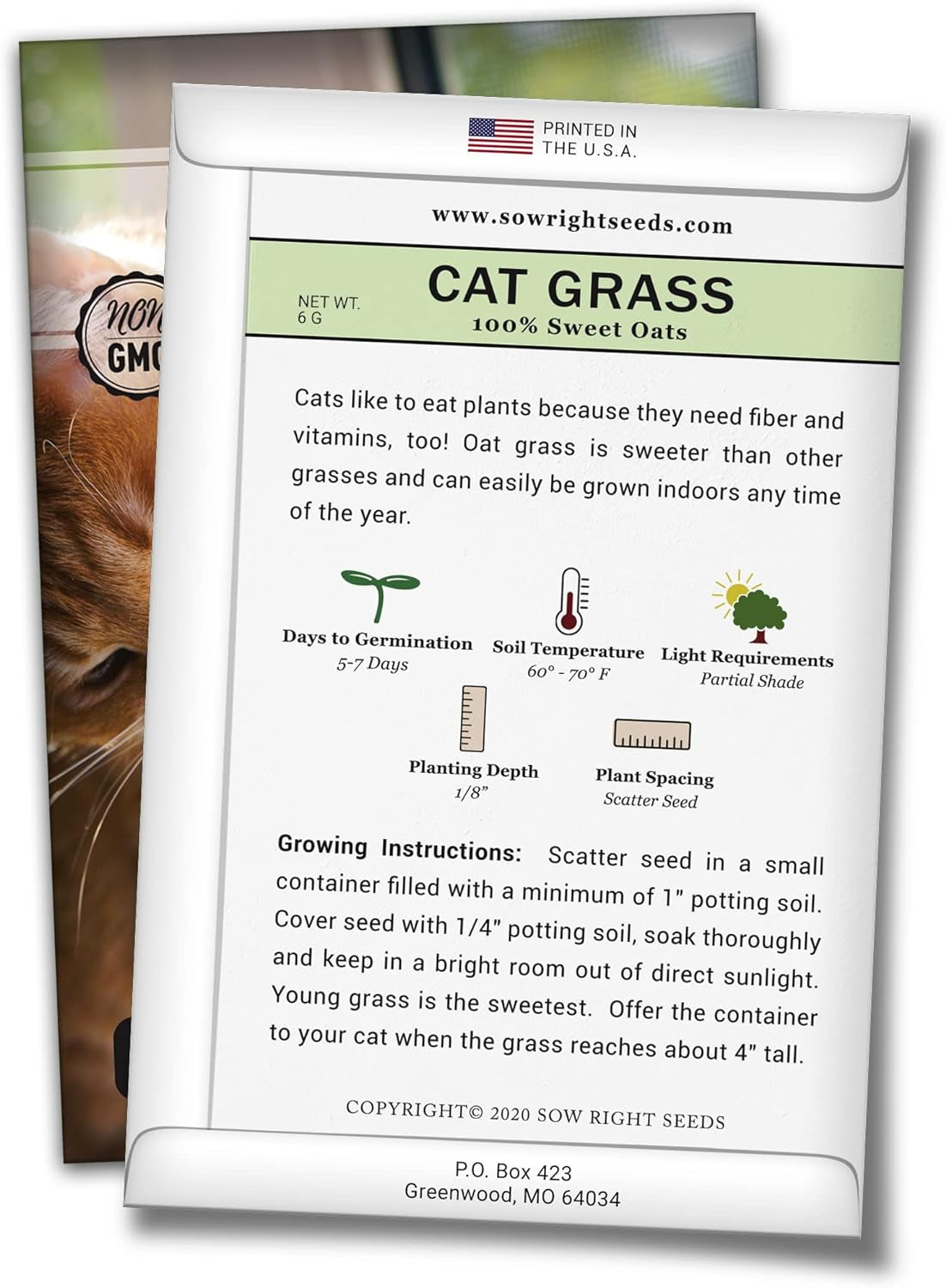 - Catnip and Cat Grass Seed Collection for Planting Indoors or Outdoors - Includes Popular Herb Catnip and Cat Grass (100% Sweet Oat Grass) - Non-Gmo Heirloom Packet - Pet Friendly
