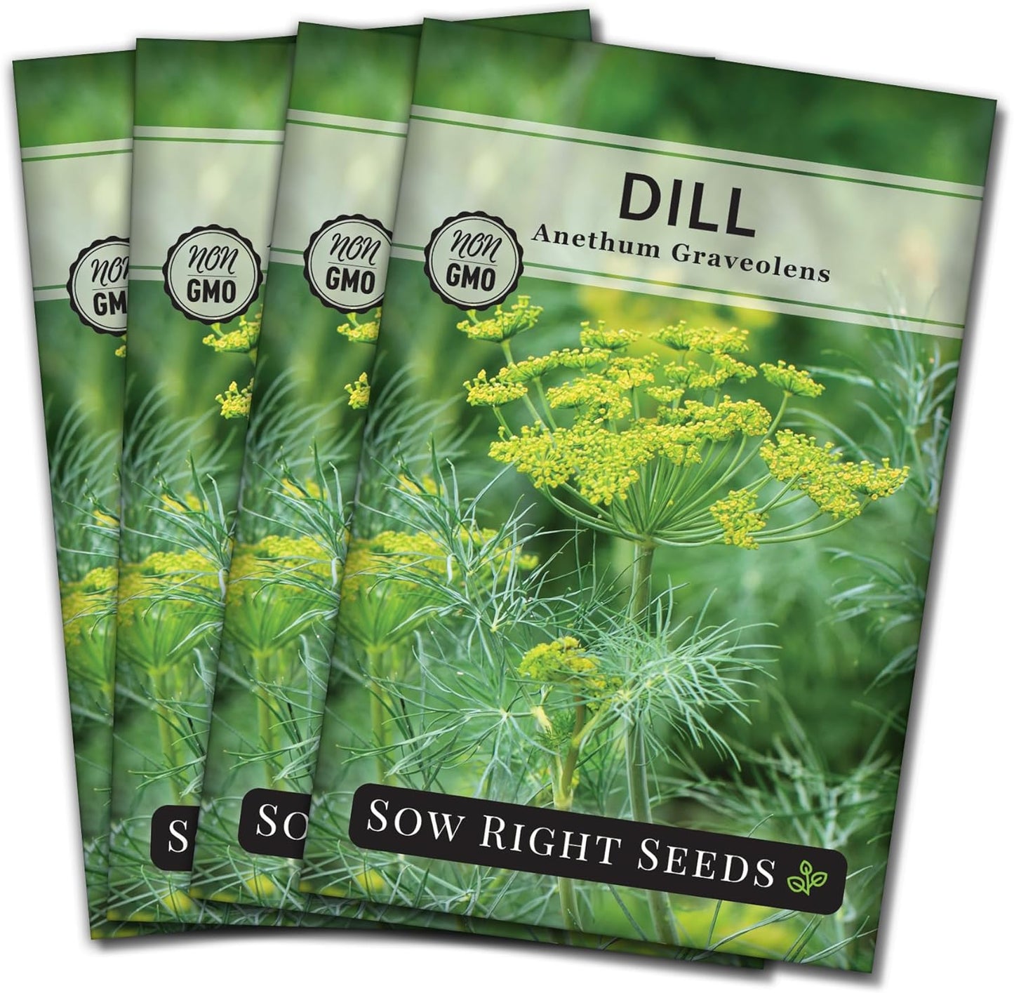 - Dill Seed for Planting - Non-Gmo Heirloom Packet with Instructions to Plant and Grow Kitchen Herb Garden - Indoors or Outdoors - Homemade Dill Pickles - Wonderful Companion Plant (4)